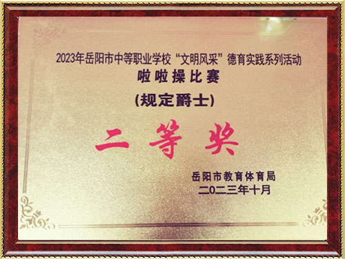 啦啦操比赛二等奖